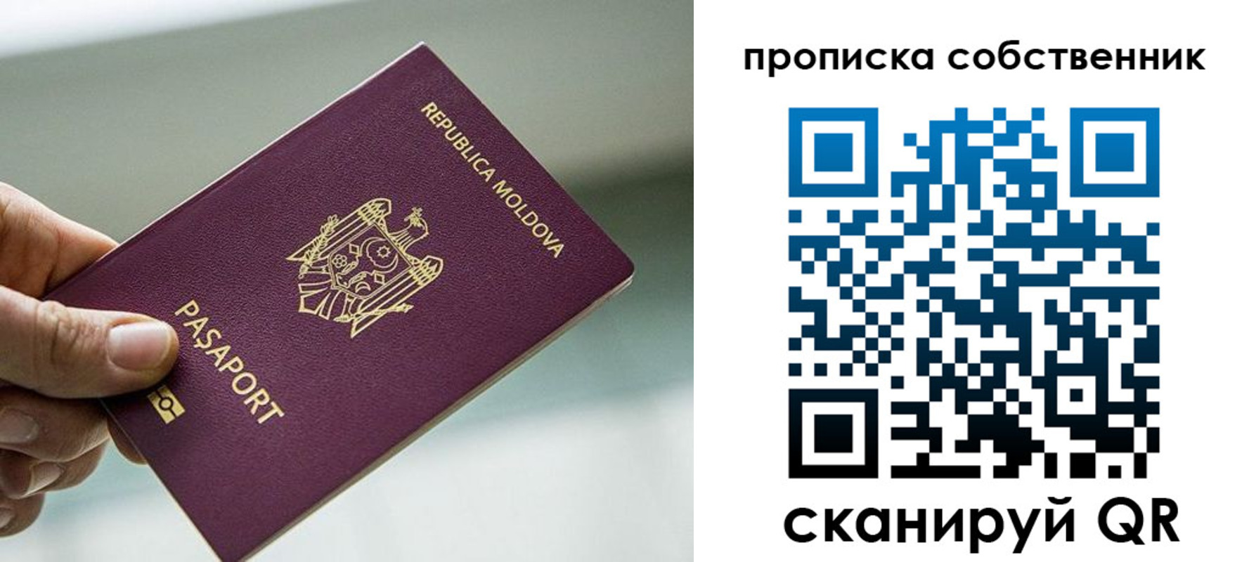 прописка паспорт в Рязанской области